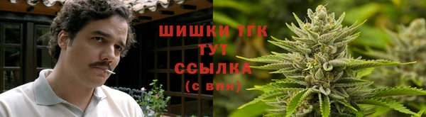гидропоника Михайлов