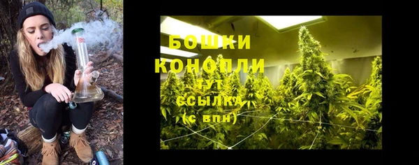 СК Мегион