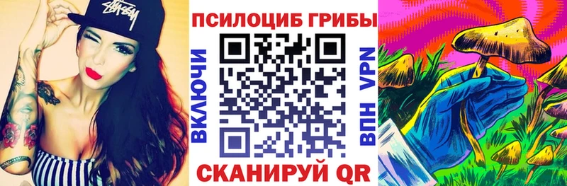 darknet состав  где купить наркоту  Новохопёрск  Галлюциногенные грибы Psilocybine cubensis 